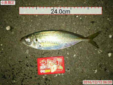 気温は1℃(・・;)