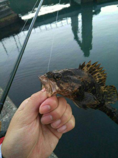 ロックフィッシュ開幕戦♪