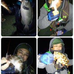 友人とアジングメバリング