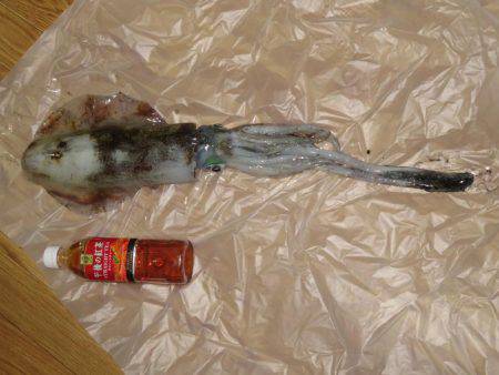 キロアップ釣りました！