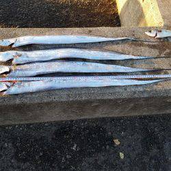 あと、3㎝…( TДT)