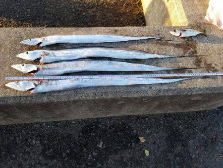 あと、３㎝…(　ＴДＴ)