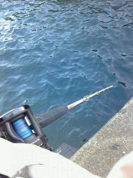 タコ狙いをしていたら水面から襲い掛かってきた～