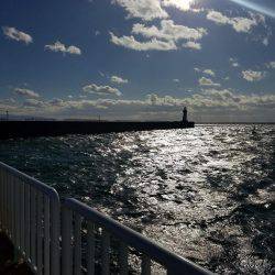 ジャンボアジはお留守でした。