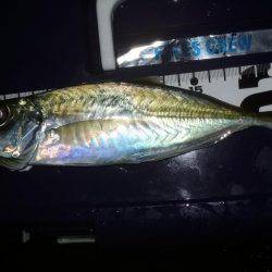 どおして君は2cm足りないの？