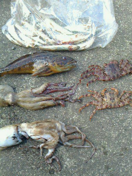 あれこれ仕掛は車に積み込んでおくべきかな