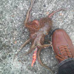 まだまだ釣れるぞ！