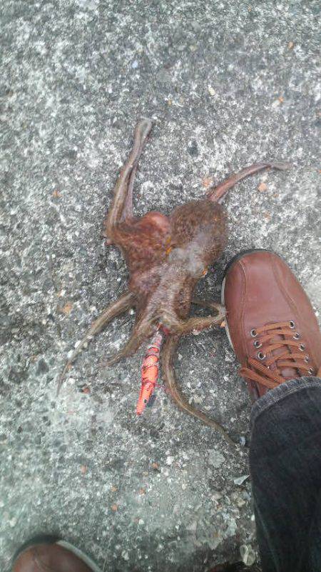 まだまだ釣れるぞ！