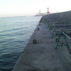 今日は良い天気だが・・・