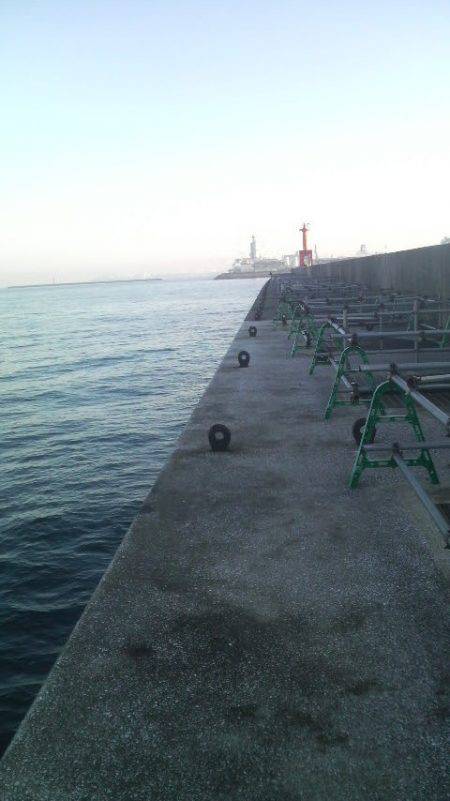 今日は良い天気だが・・・