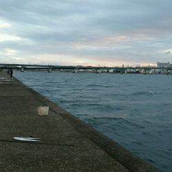 早朝タチウオまだいました。短い時合で2匹ゲット！