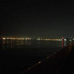 南芦屋浜タチウオ