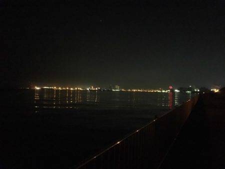 南芦屋浜タチウオ