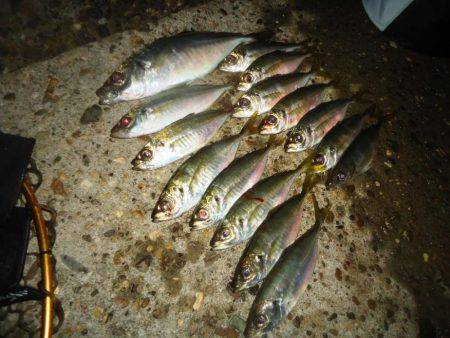 沈黙の後にジャンボ！