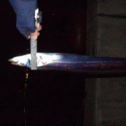 今年最後？のタチウオ釣り。