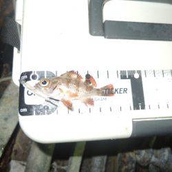 場所とタイミング