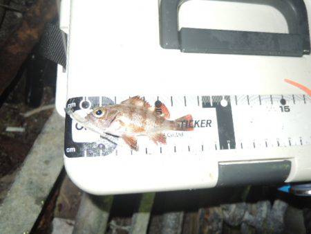 場所とタイミング