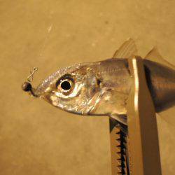 厳しくなってきた