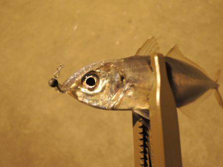 厳しくなってきた