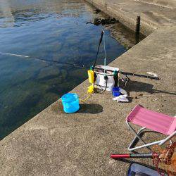 今年最後の釣行？