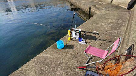 今年最後の釣行？