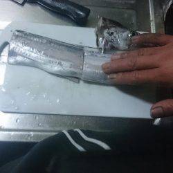 寒い中での釣行