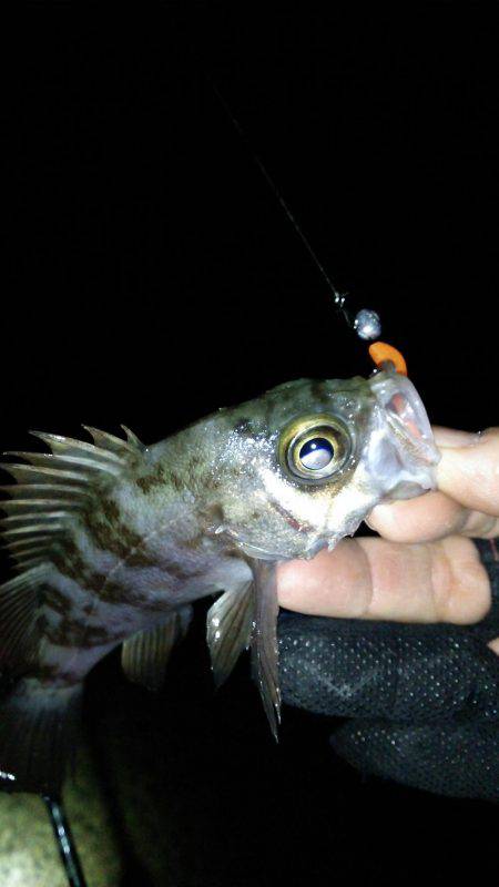 オジサン２人でメリーツリシマス(笑)