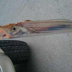 自己最小記録！