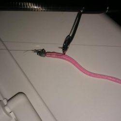 むずかしいアジング