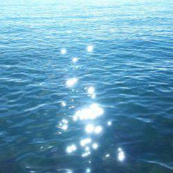 ちっちゃい～～