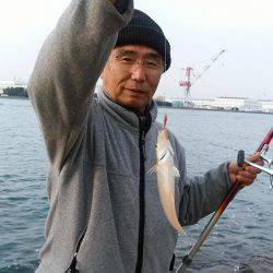 6回目の東二見落ちギス釣行は撃沈