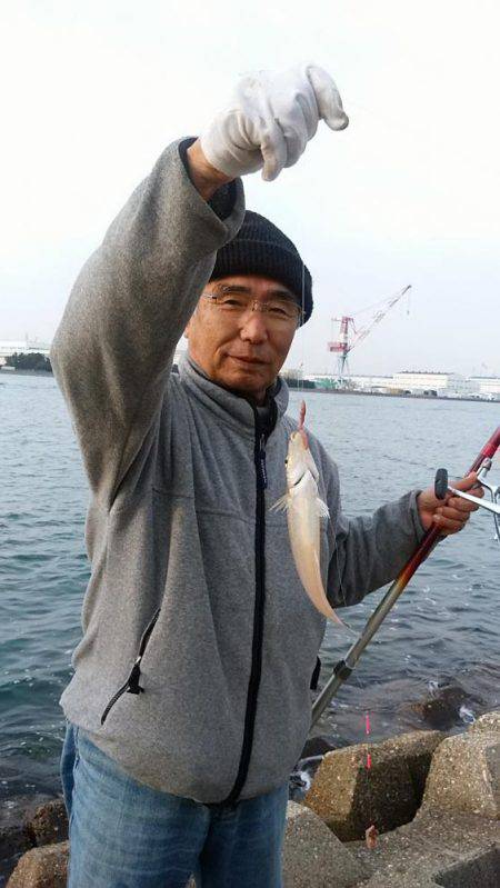 6回目の東二見落ちギス釣行は撃沈