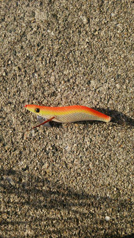 釣りはしやすい…