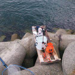 もう終わりかな～