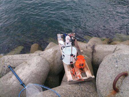 もう終わりかな～