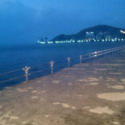 ベイトは極小イワシ