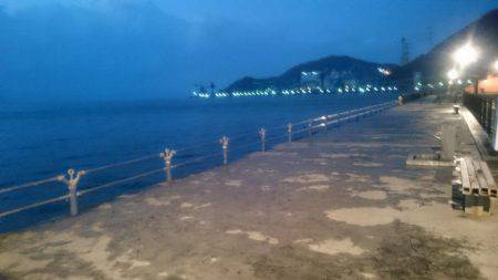 ベイトは極小イワシ