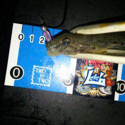 ブロガーさん達とわいわいライトゲームナイト！