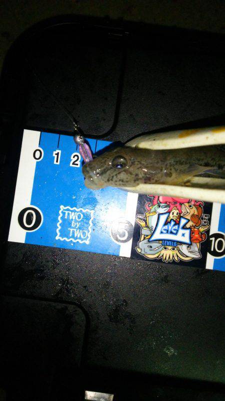 ブロガーさん達とわいわいライトゲームナイト！