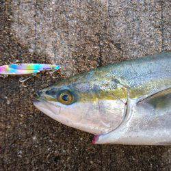 ミラクルな一本♪