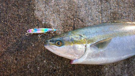 ミラクルな一本♪