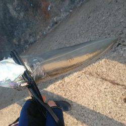 ギリギリセーフ!