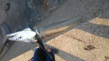 ギリギリセーフ!