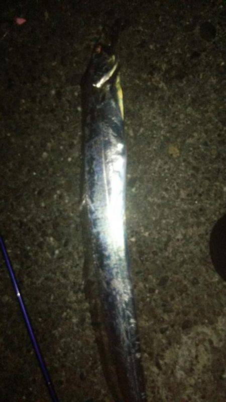 ドラゴンを求めて4