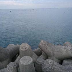 まだまだ青物狙い！