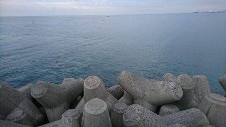 まだまだ青物狙い！