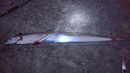 朝マヅメ、ミノーでタチウオ