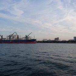 もう終わりかな