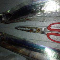 クリスマス釣行…