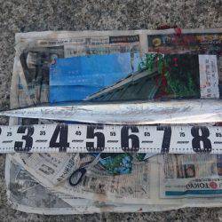 ドラゴン注意報